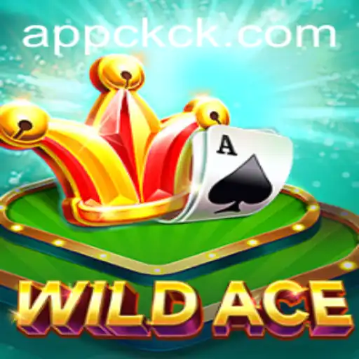 Descubra WildAce: O Novo Sensação dos Jogos de Cartas Online
